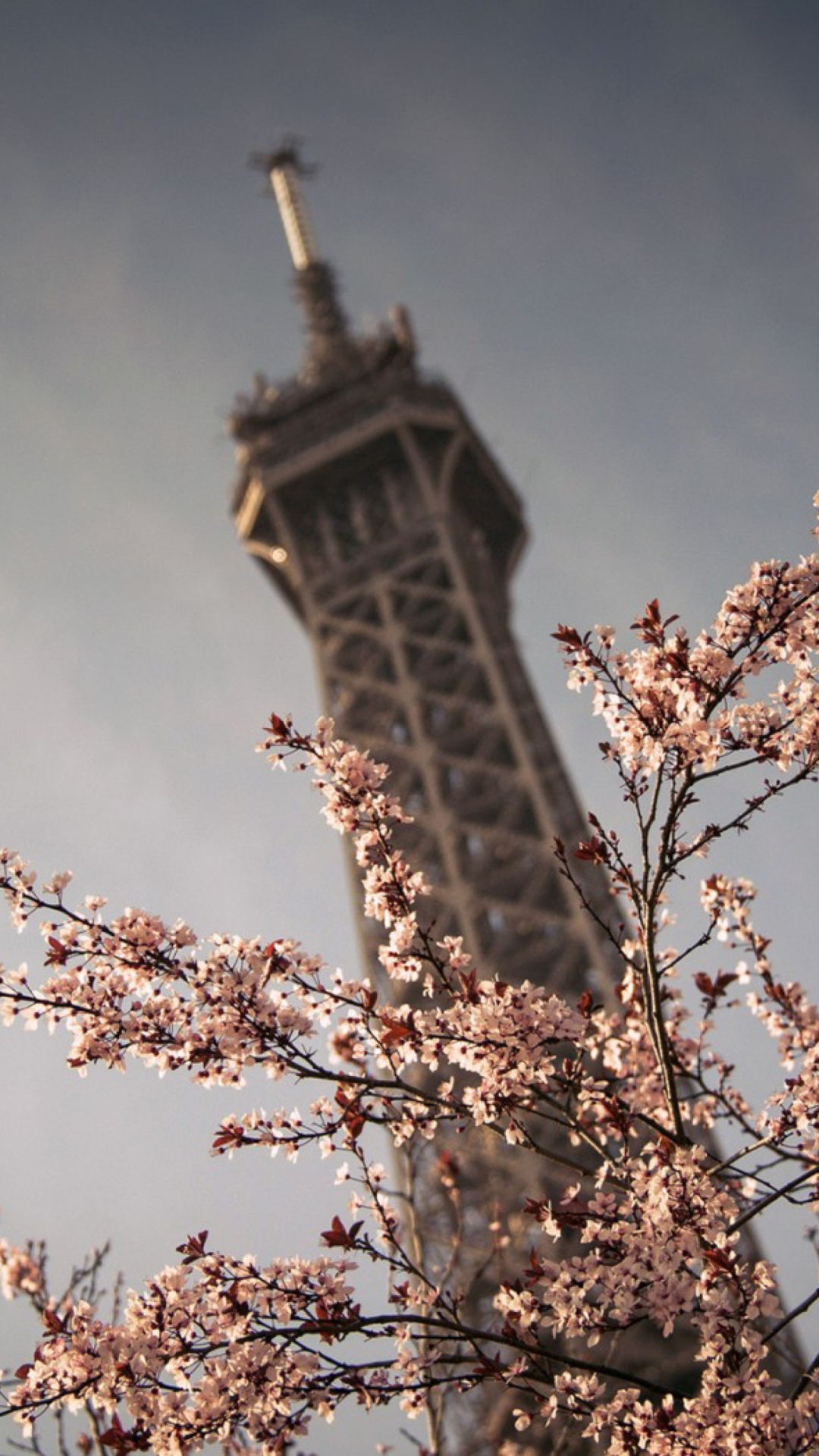 Fondo de pantalla Spring In Paris 1080x1920