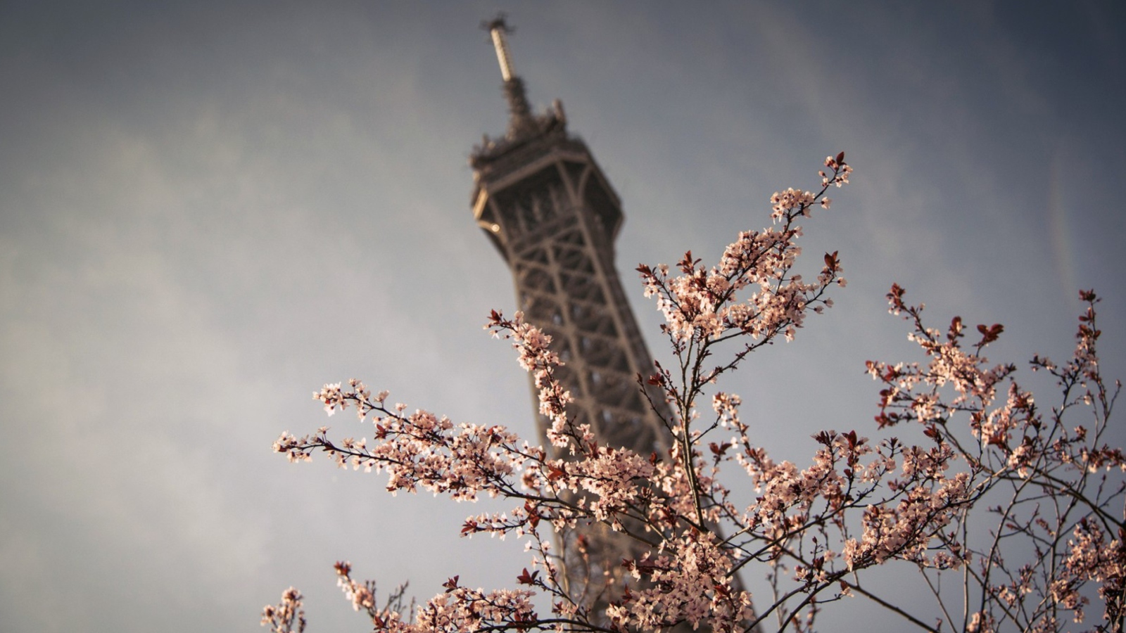 Screenshot №1 pro téma Spring In Paris 1600x900