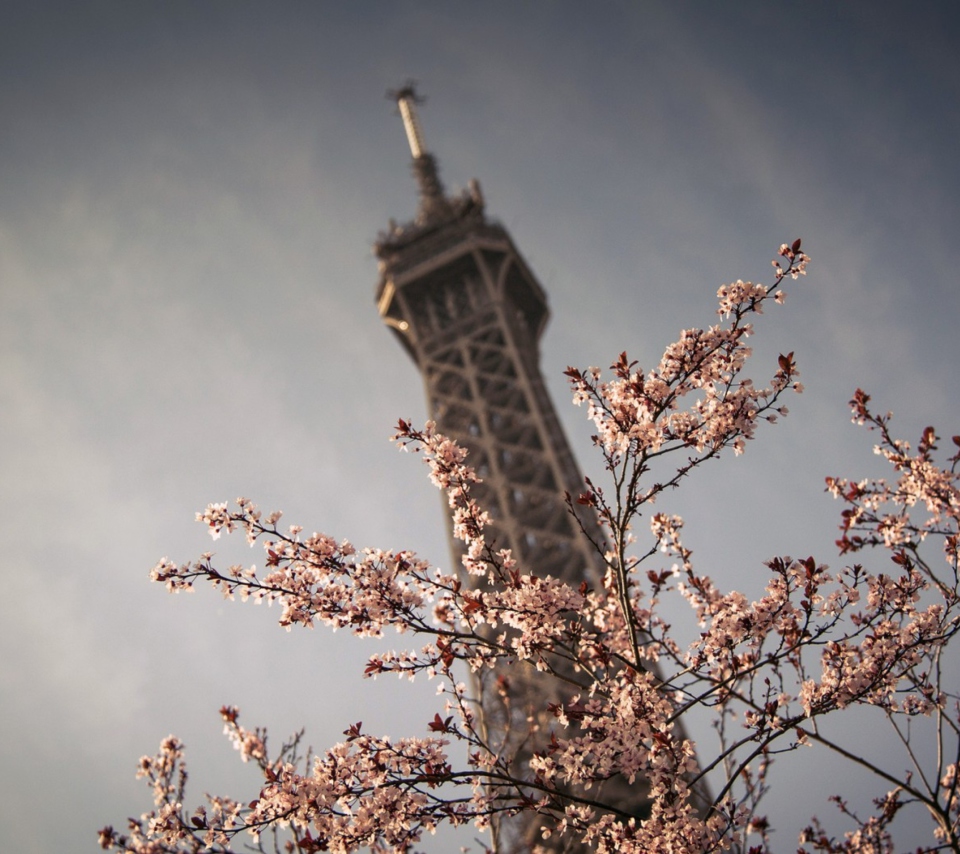 Das Spring In Paris Wallpaper 960x854