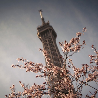Spring In Paris sfondi gratuiti per 1024x1024