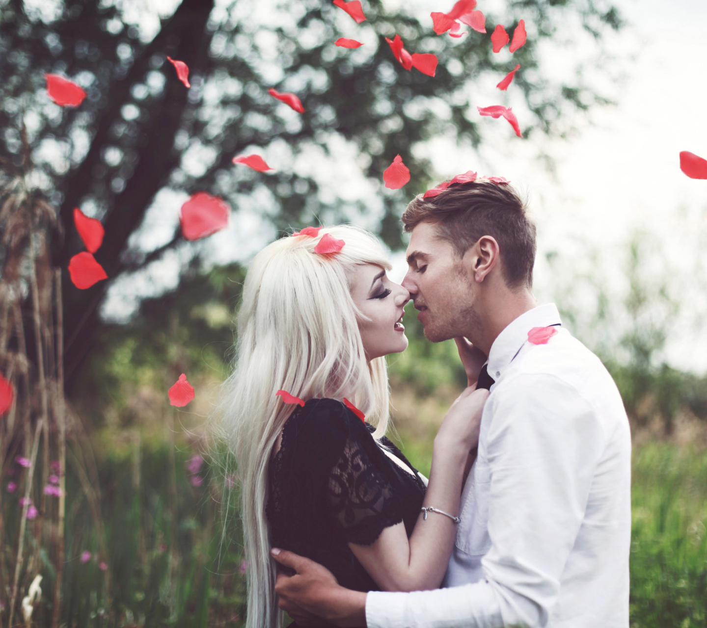 Обои Kiss And Red Rose Petals 1440x1280
