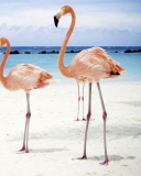 Pink Flamingo wallpaper 128x160