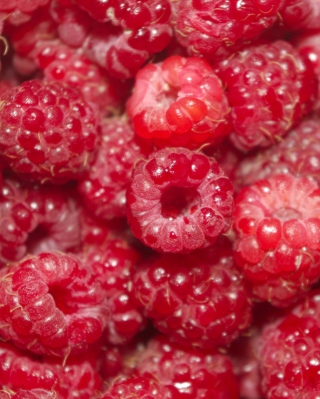 Summery Juicy Raspberry - Obrázkek zdarma pro 176x220