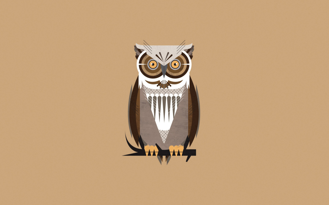Screenshot №1 pro téma Owl Illustration 1280x800