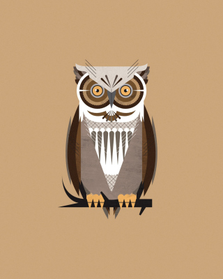 Owl Illustration - Obrázkek zdarma pro Nokia C2-00