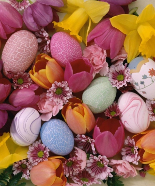 Happy Easter - Obrázkek zdarma pro Nokia C5-03