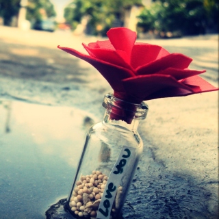 Love You Bottle - Fondos de pantalla gratis para 2048x2048