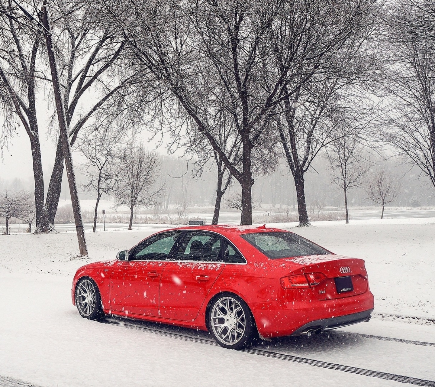 Das Audi A4 Red Wallpaper 1440x1280