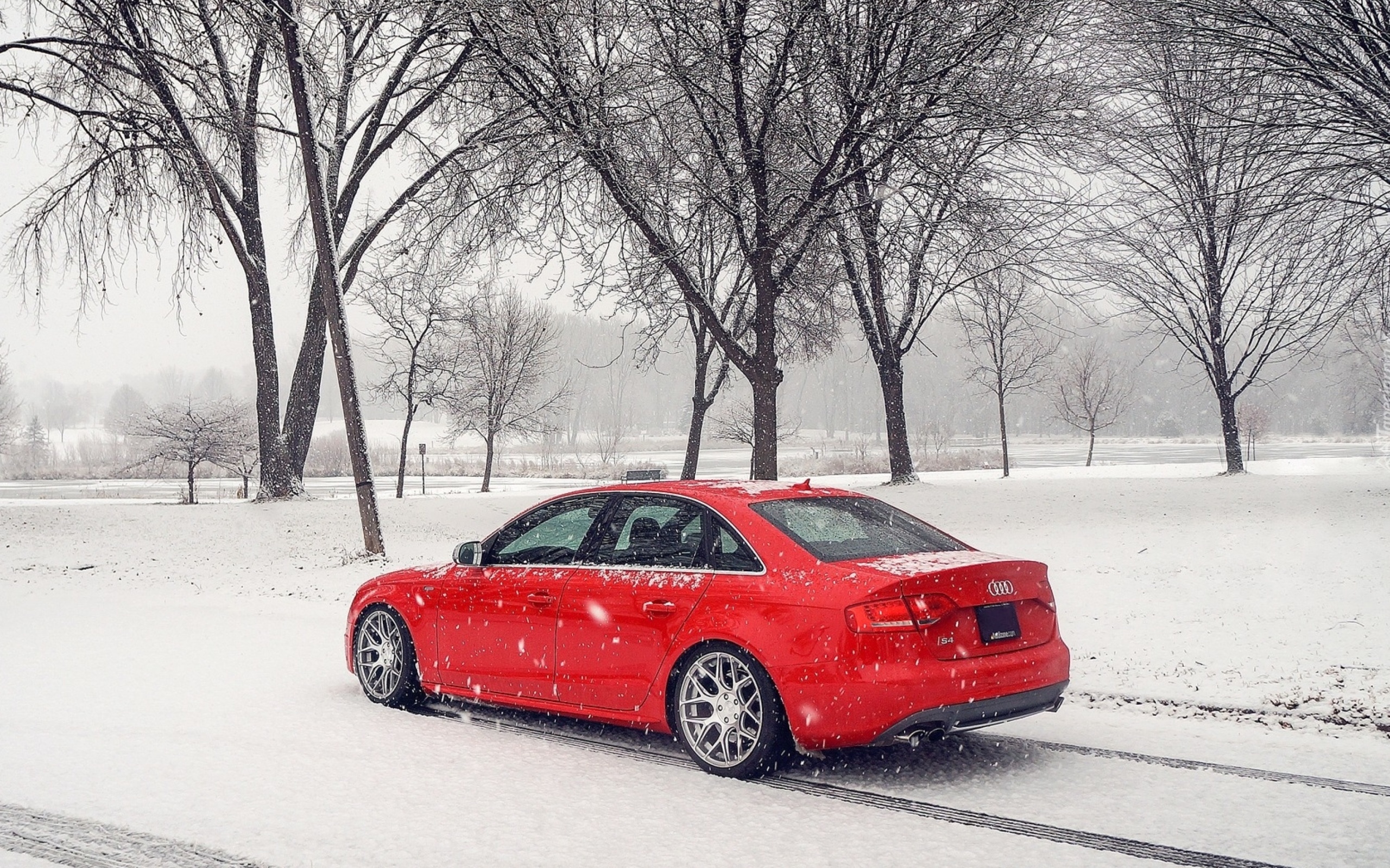 Fondo de pantalla Audi A4 Red 2560x1600