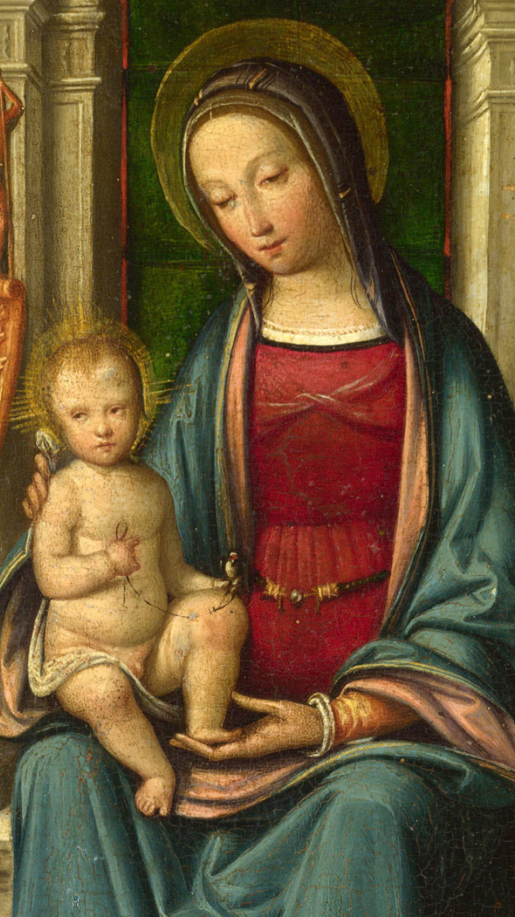 Fondo de pantalla St Dominic and Rosary 750x1334