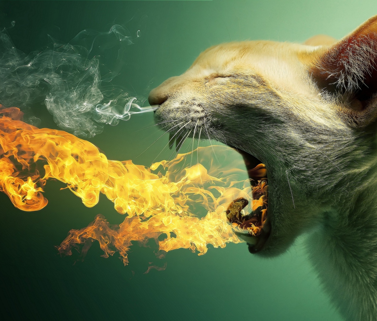 Screenshot №1 pro téma Flaming Cat 1200x1024