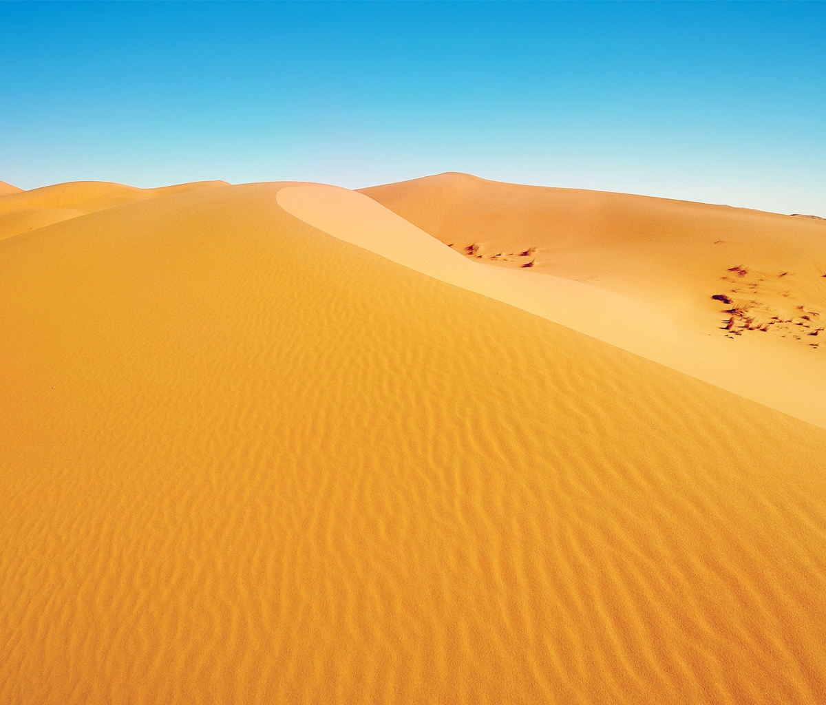Sfondi African Desert 1200x1024