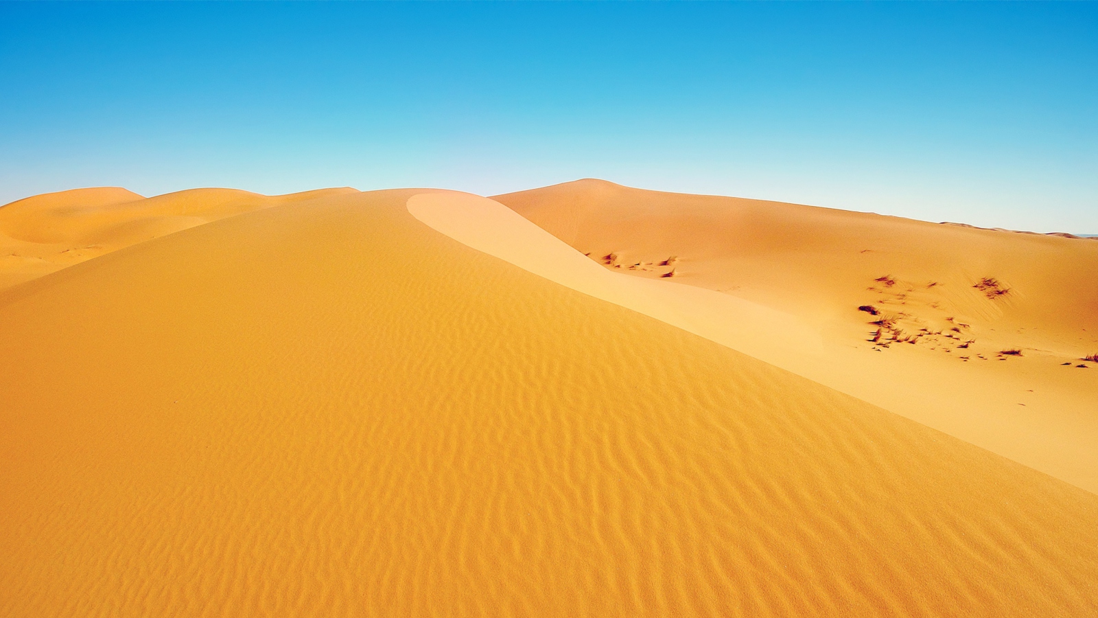 Screenshot №1 pro téma African Desert 1600x900