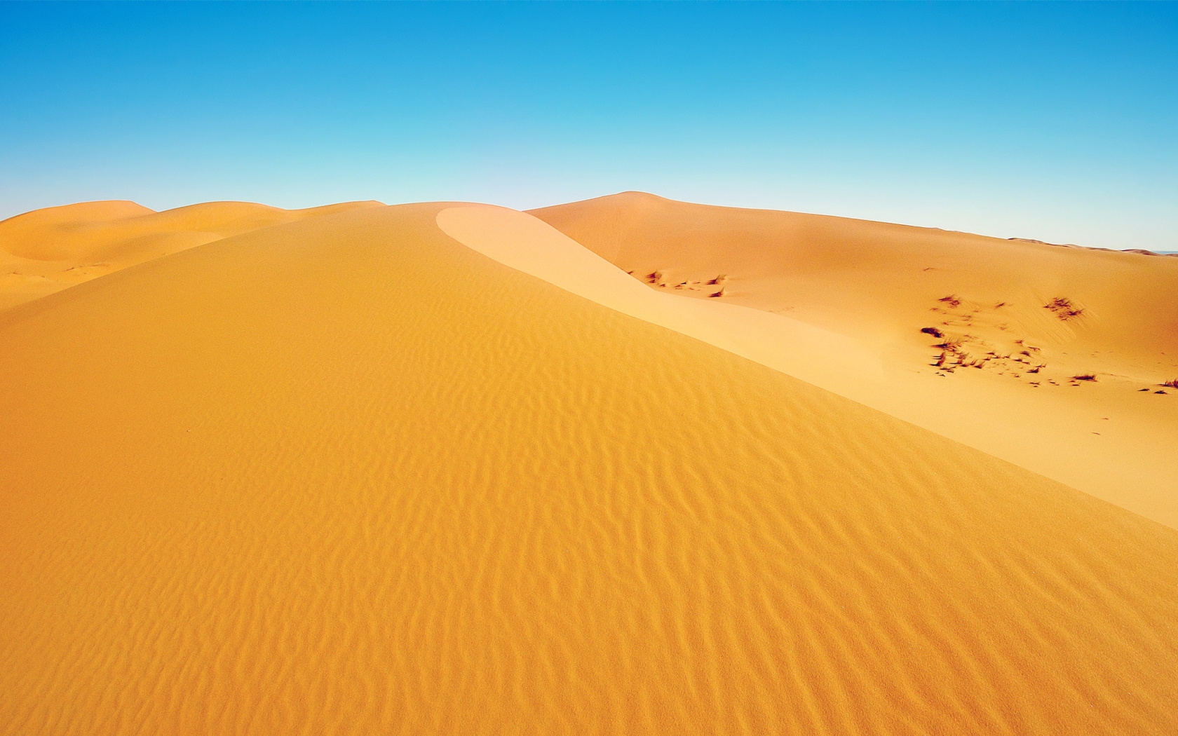 Screenshot №1 pro téma African Desert 1680x1050