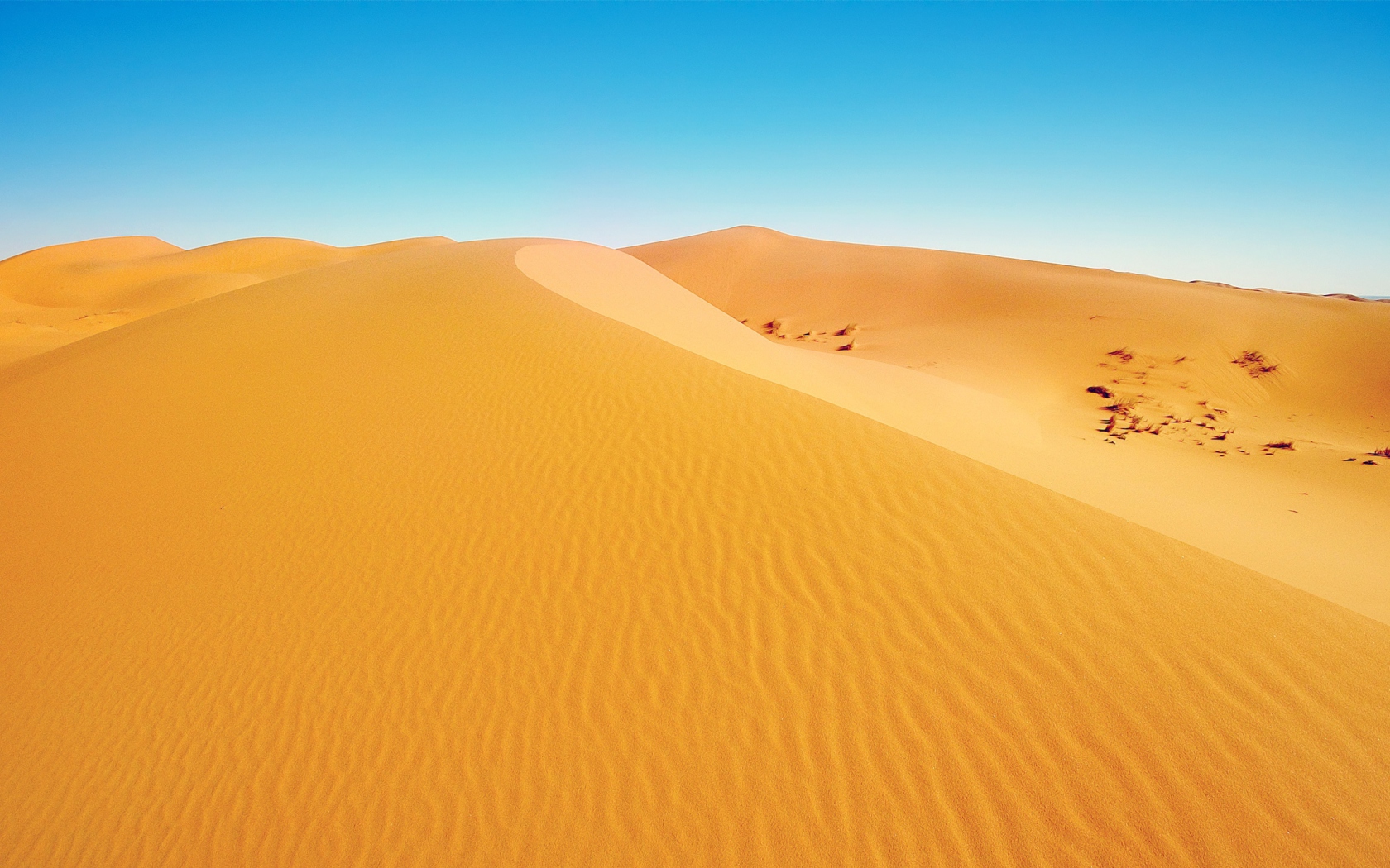 Das African Desert Wallpaper 1680x1050