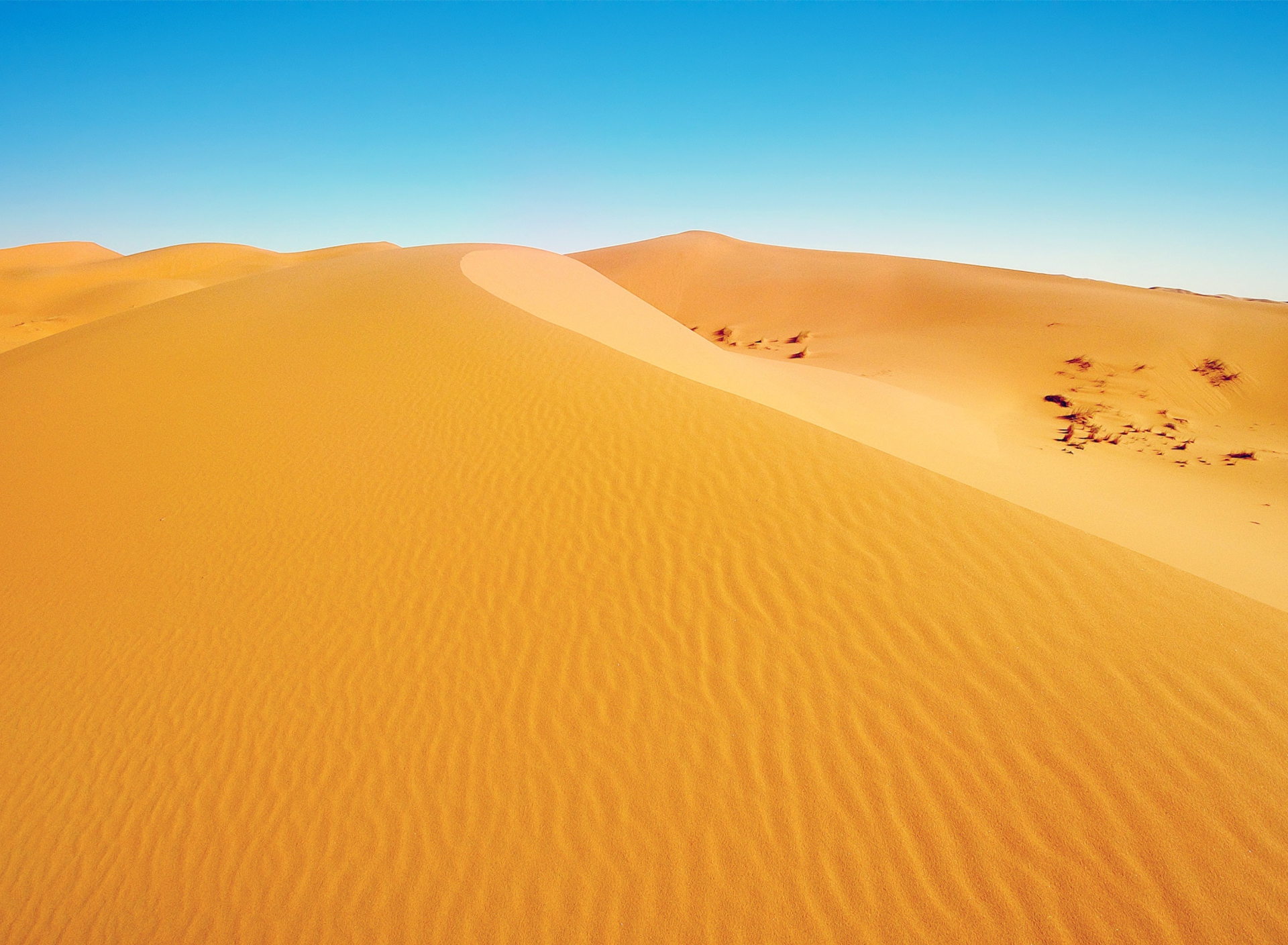 Fondo de pantalla African Desert 1920x1408