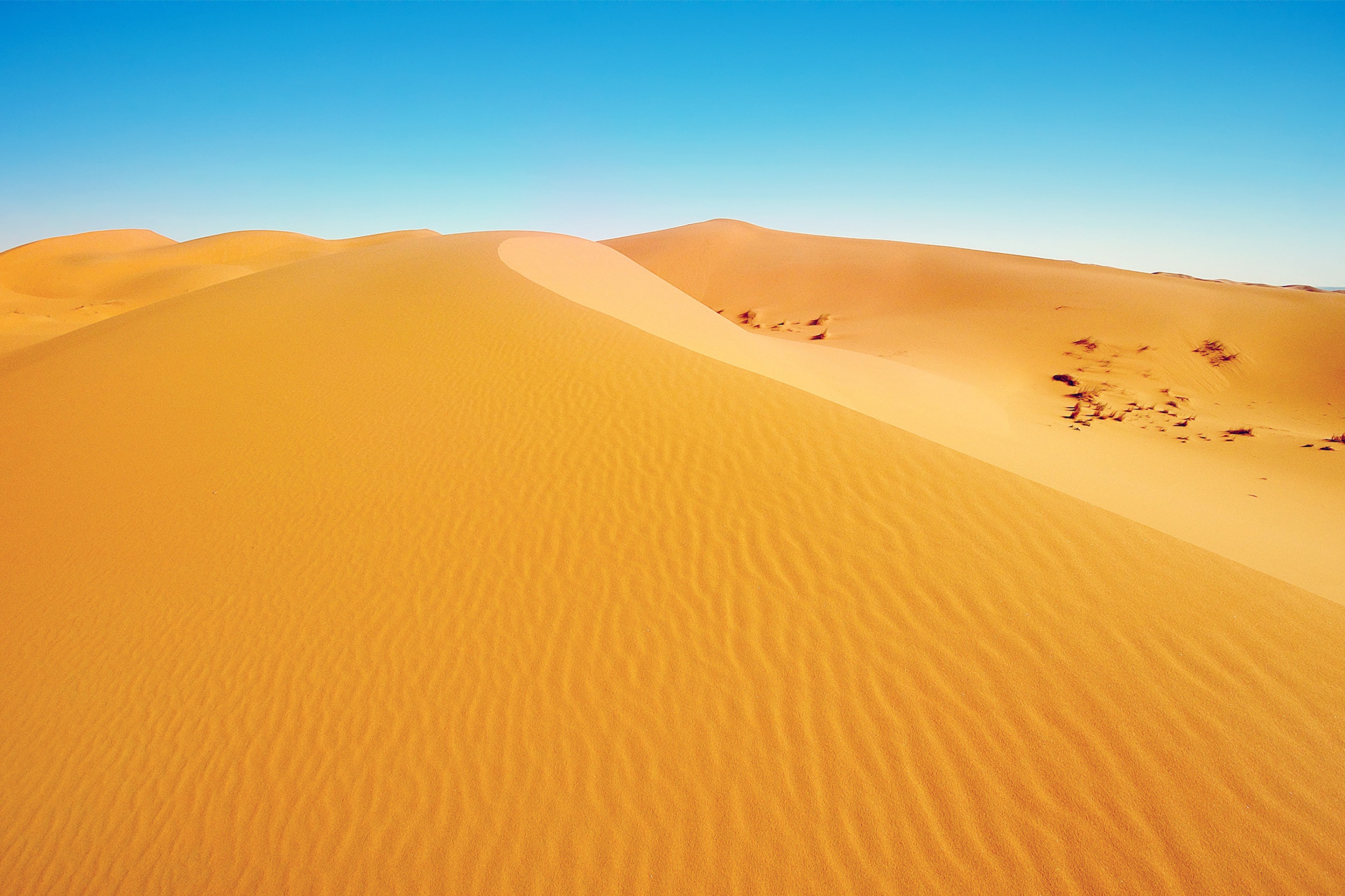 Screenshot №1 pro téma African Desert 2880x1920