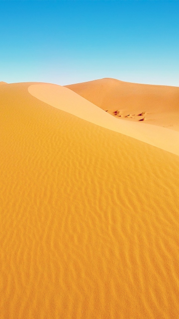 Das African Desert Wallpaper 360x640