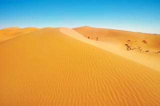 African Desert - Obrázkek zdarma pro 1024x768