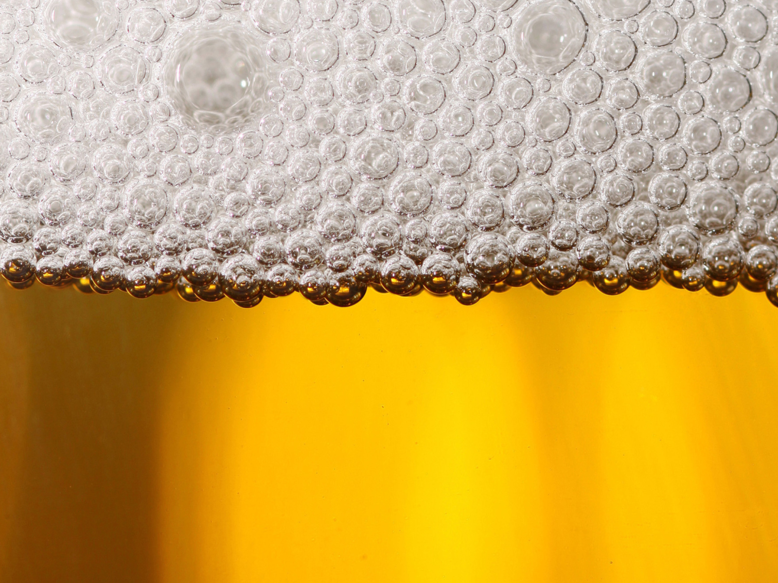 Das Beer Bubbles Wallpaper 1600x1200