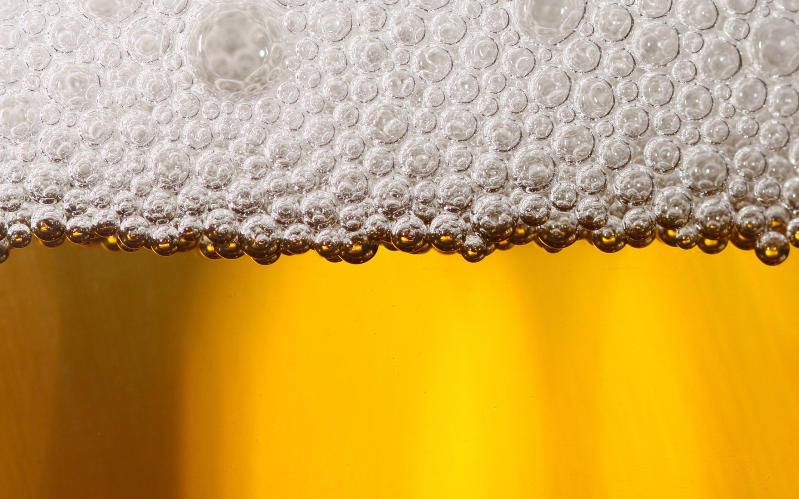 Sfondi Beer Bubbles 2560x1600