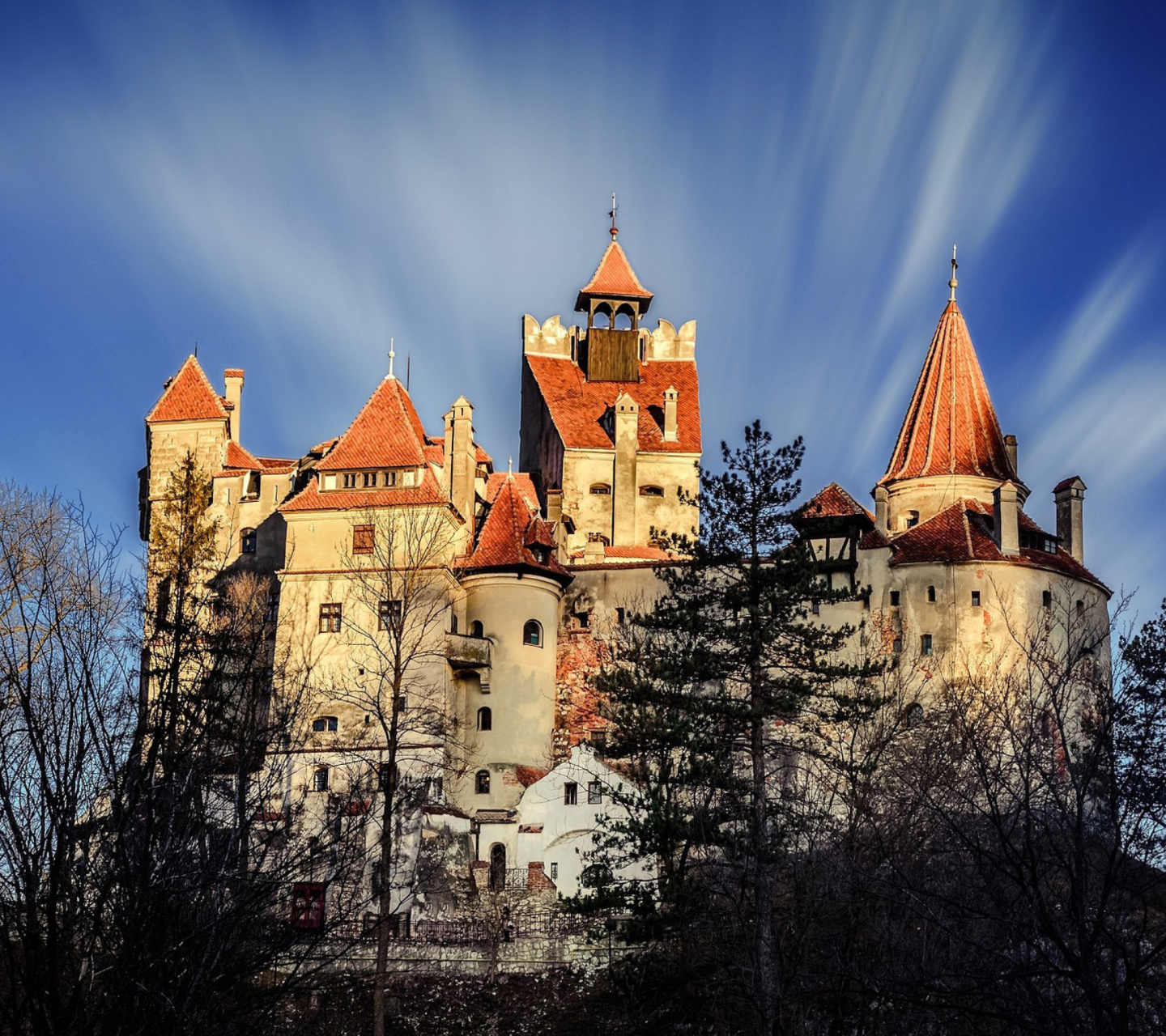 Обои Castle Bran Dracula 1440x1280