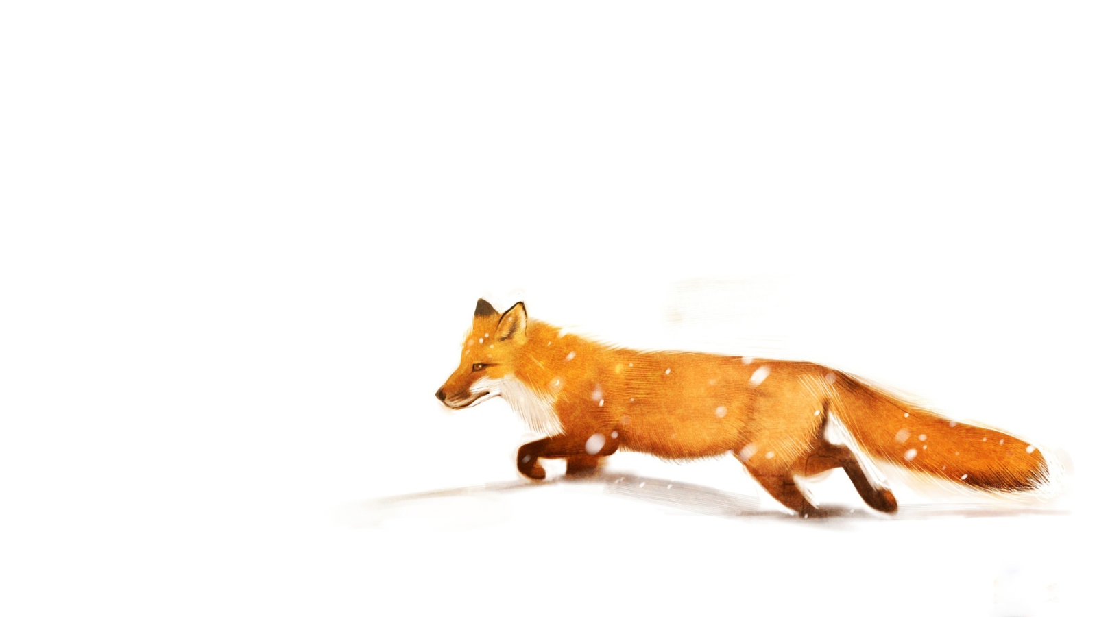 Screenshot №1 pro téma Red Fox White Snow 1600x900