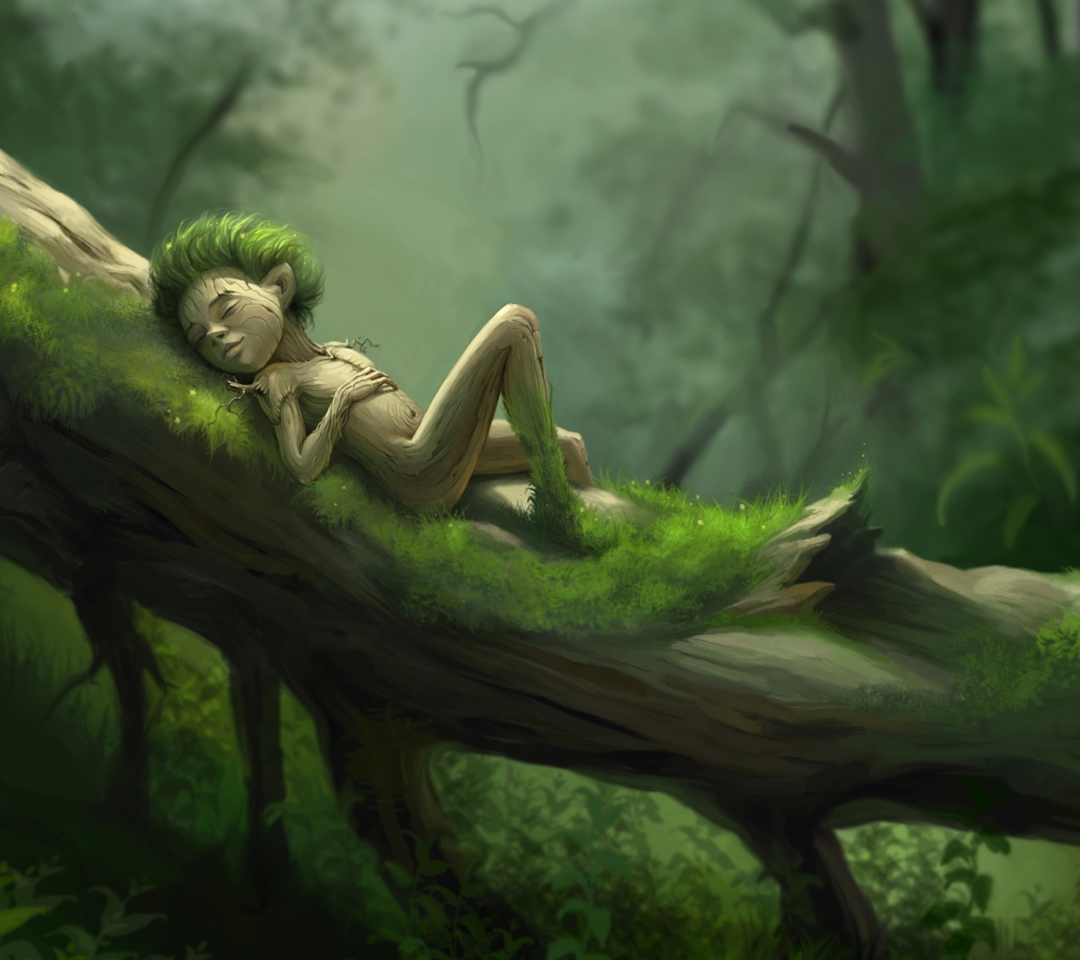 Forest Sleep wallpaper 1080x960