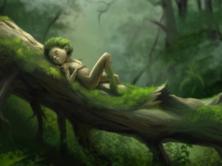 Fondo de pantalla Forest Sleep 320x240