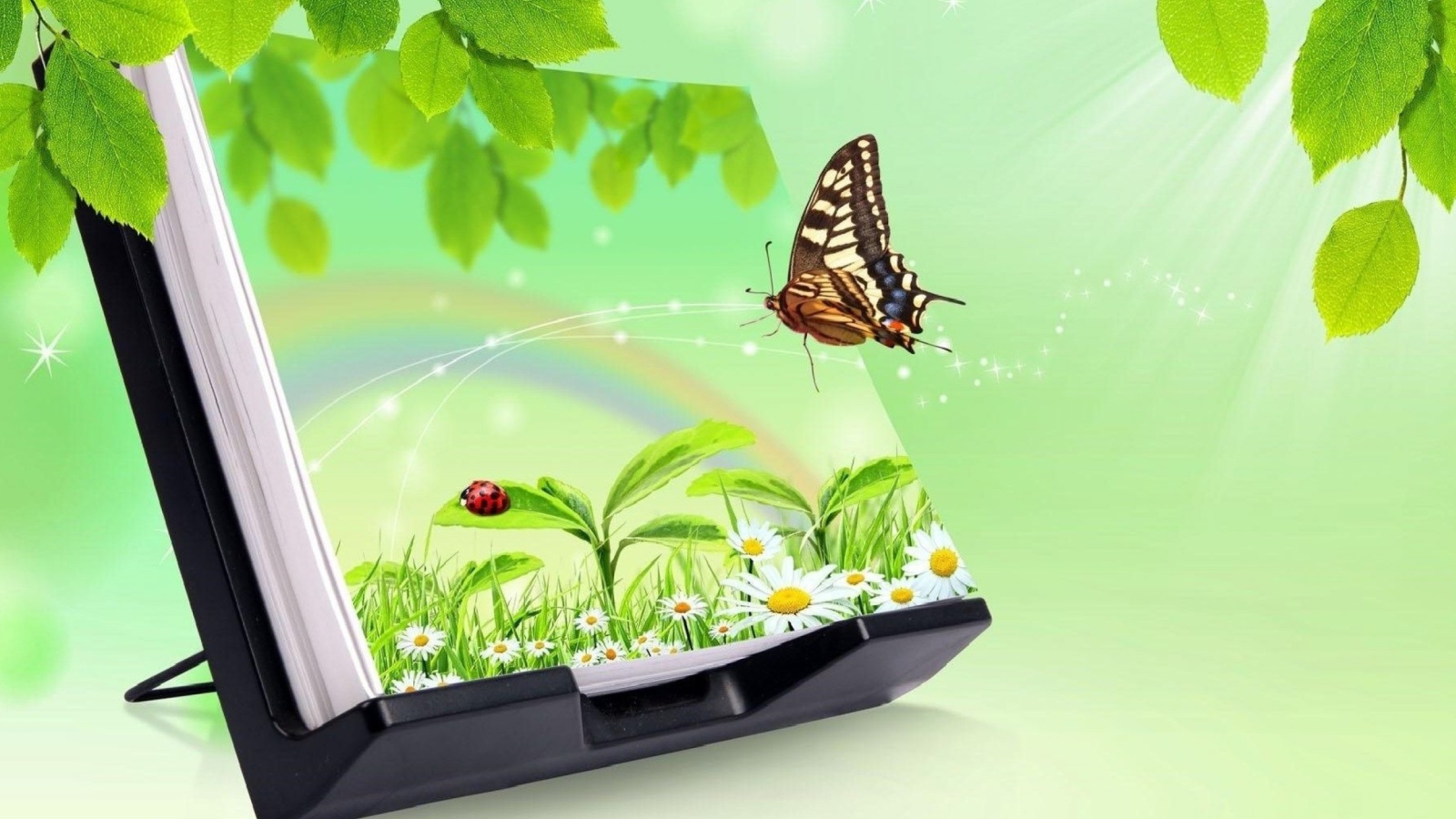 Sfondi 3D Green Nature with Butterfly 1600x900