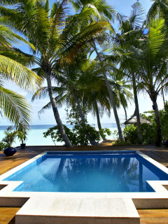 Fondo de pantalla Swimming Pool on Tahiti 240x320