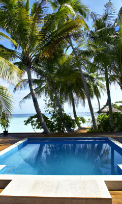 Screenshot №1 pro téma Swimming Pool on Tahiti 240x400
