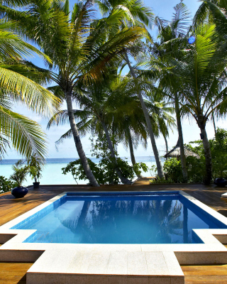 Kostenloses Swimming Pool on Tahiti Wallpaper für Nokia C3-01
