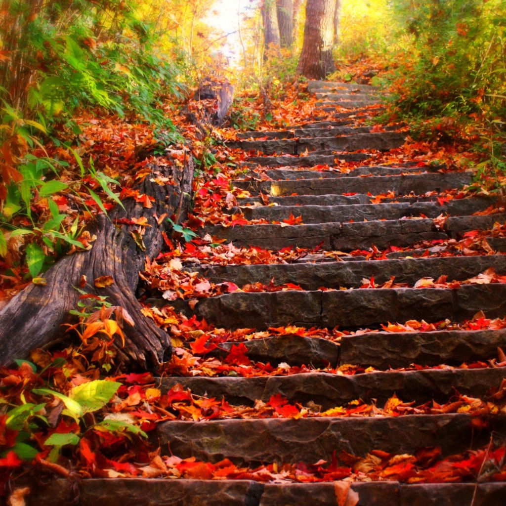 Fondo de pantalla Red Leaves On Stairs 1024x1024