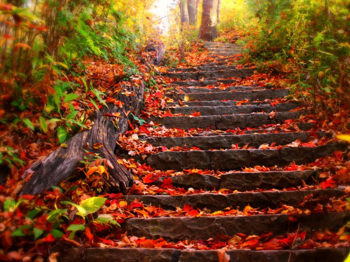 Red Leaves On Stairs screenshot #1 1152x864