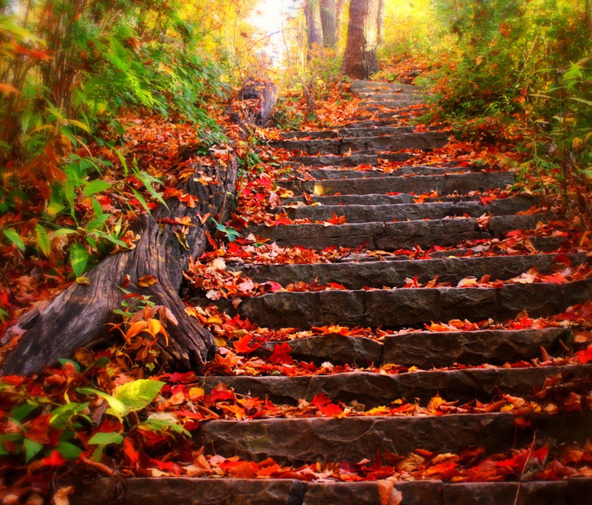 Screenshot №1 pro téma Red Leaves On Stairs 1200x1024
