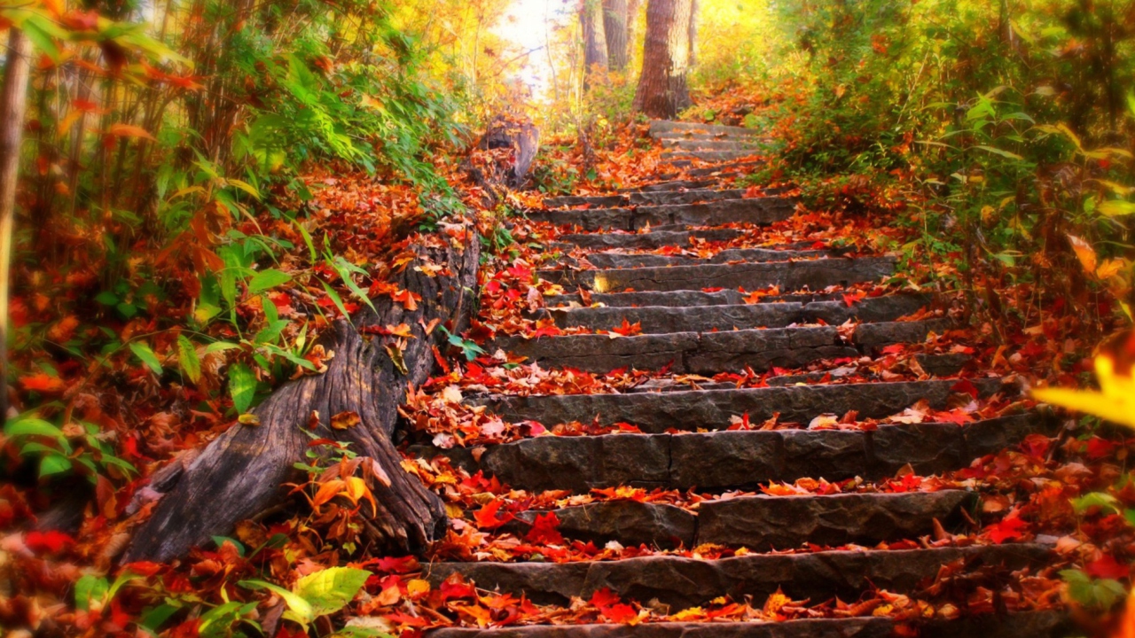 Red Leaves On Stairs wallpaper 1280x720