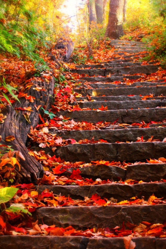 Screenshot №1 pro téma Red Leaves On Stairs 640x960