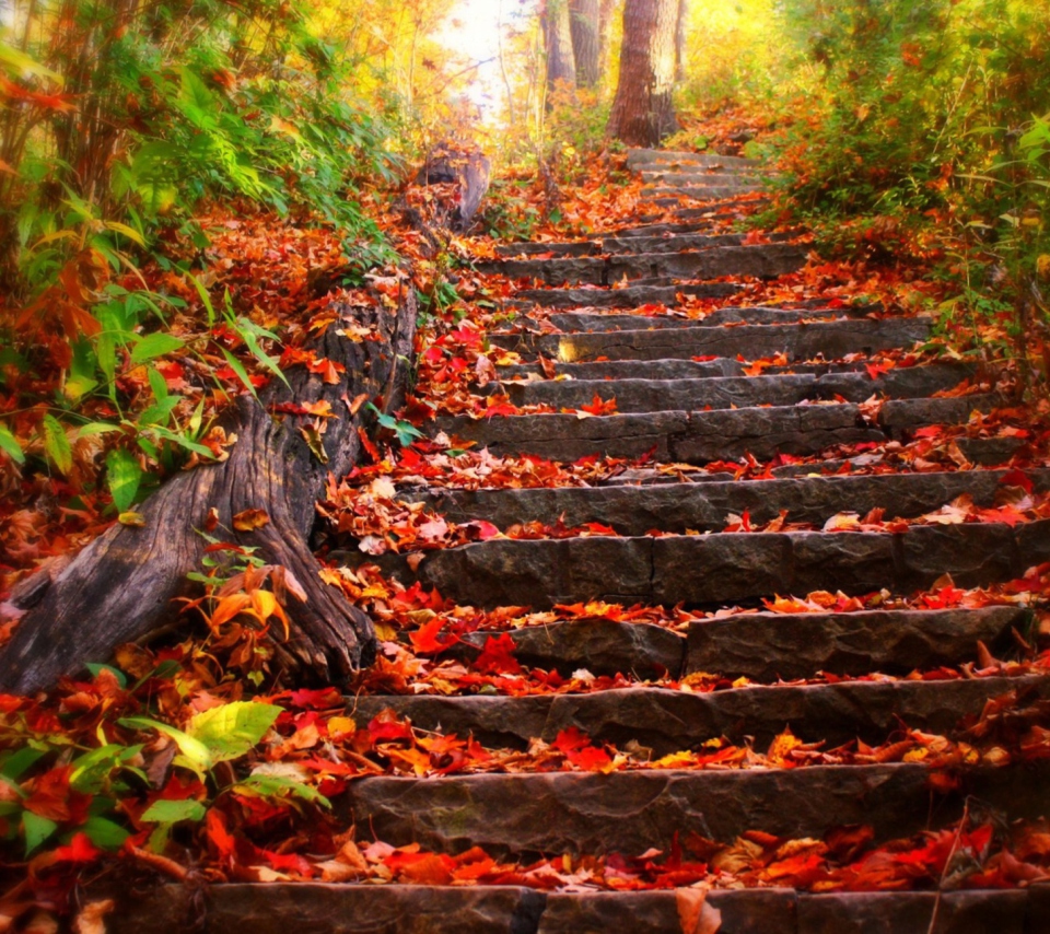 Screenshot №1 pro téma Red Leaves On Stairs 960x854