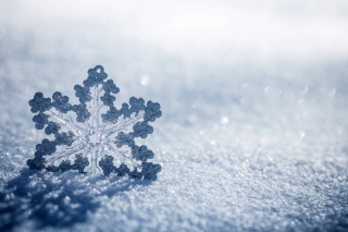 Snowflake Macro HD - Obrázkek zdarma pro Sony Xperia Z1