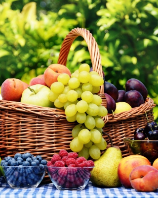 Fruit Basket - Obrázkek zdarma pro 132x176
