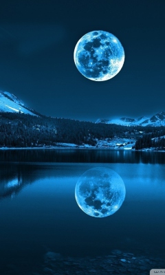 Fondo de pantalla Moonlight Night 240x400