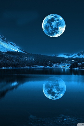 Moonlight Night wallpaper 320x480