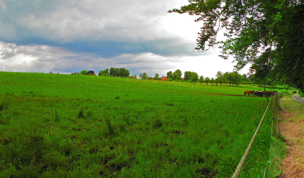 Das Bavarian meadow Wallpaper 1024x600