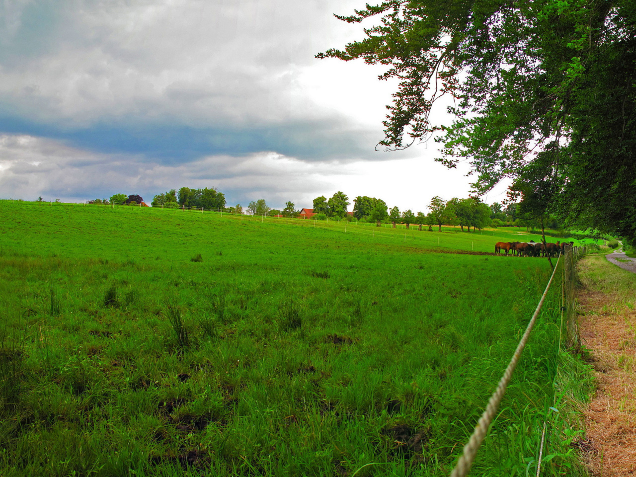 Fondo de pantalla Bavarian meadow 1280x960