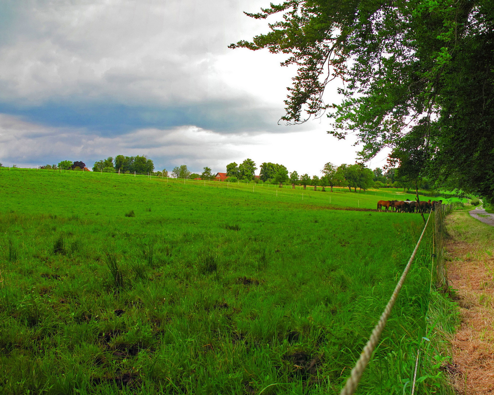 Das Bavarian meadow Wallpaper 1600x1280