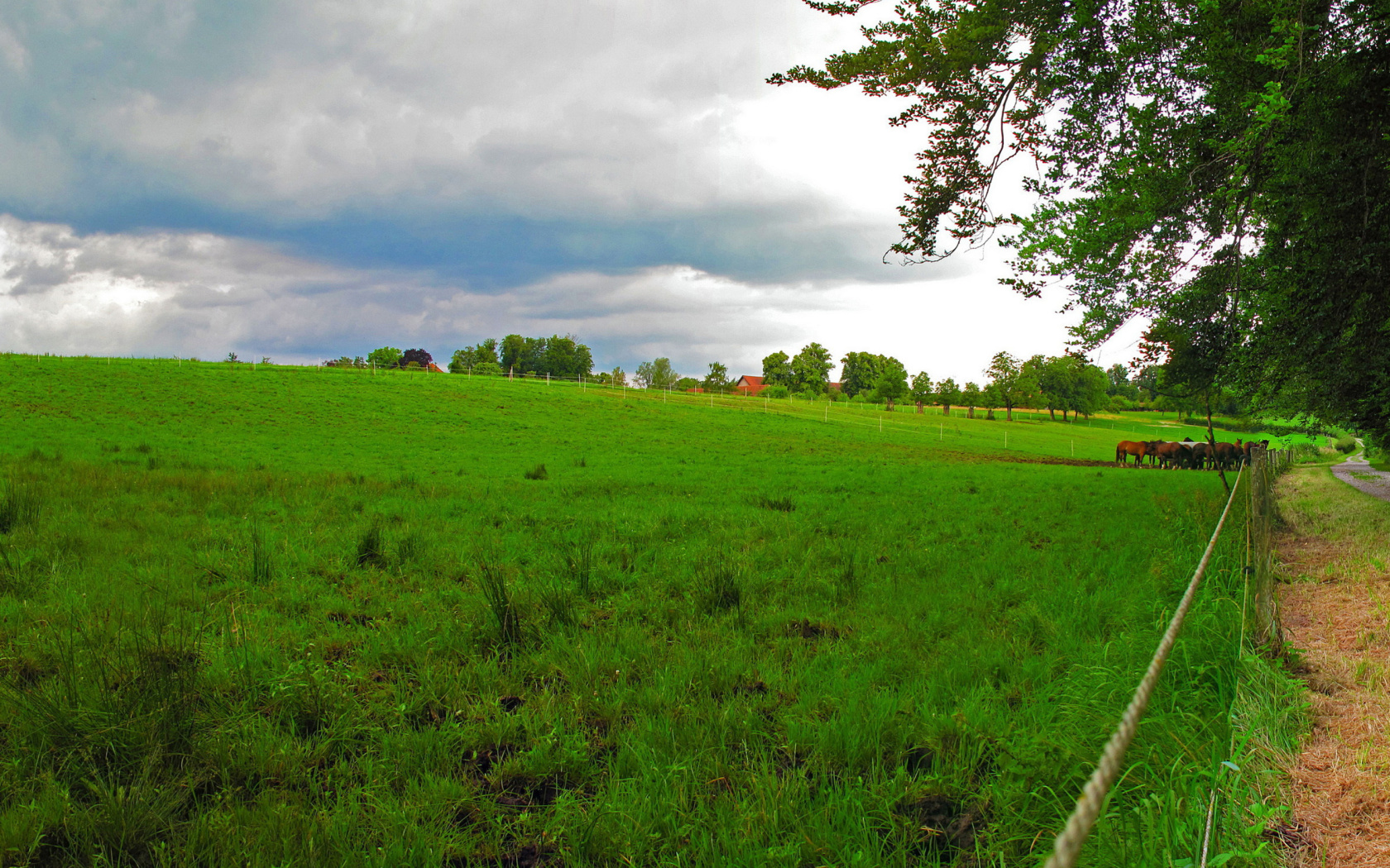 Bavarian meadow screenshot #1 1680x1050