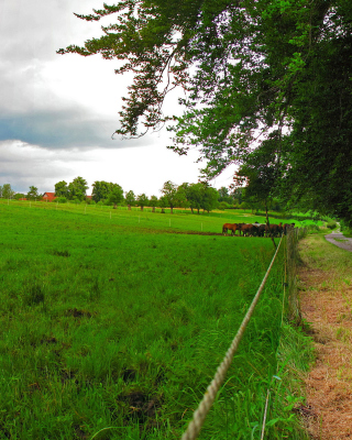 Bavarian meadow sfondi gratuiti per iPhone 4S