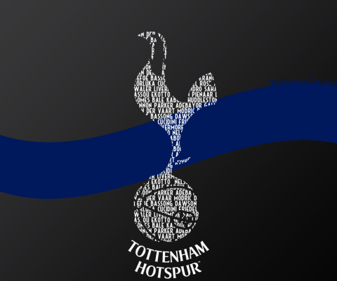 Screenshot №1 pro téma Tottenham Hotspur 480x400