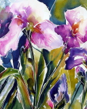 Sfondi Pink Flowers Painting 128x160